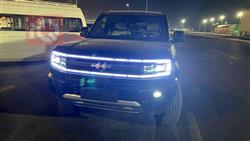 بي واي دي ليوبارد 5